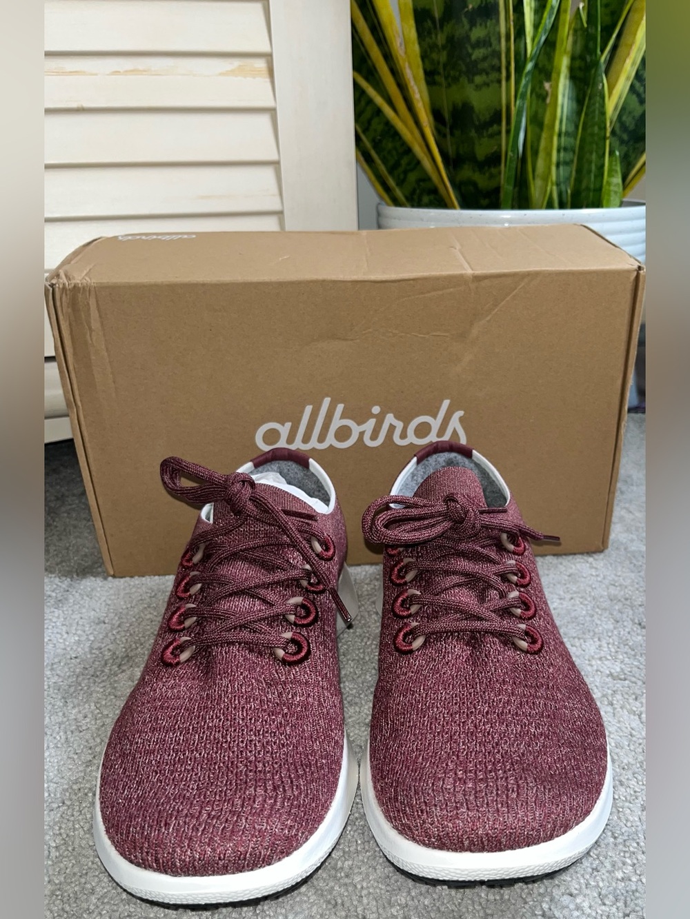 NIB Men’s ALLBIRDS Tree Dasher 2 Size 11.5